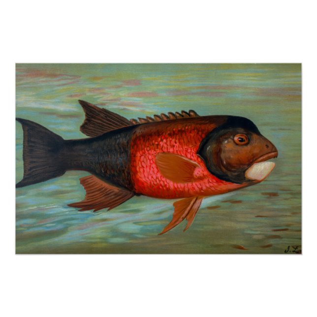 Póster Sacramento Pike por John L Petrie (Anverso)