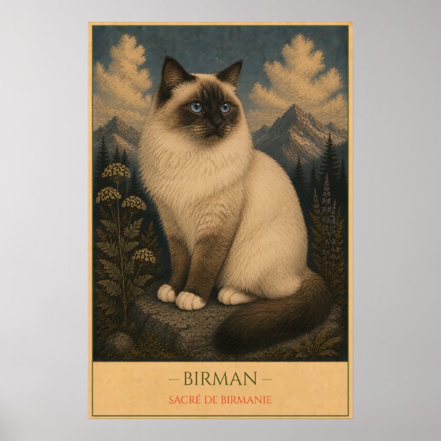 Póster Sacred Grace: Birman Cat (Frente)