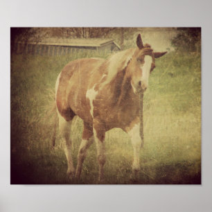 Póster Sacudidas Brillantes Cabeza