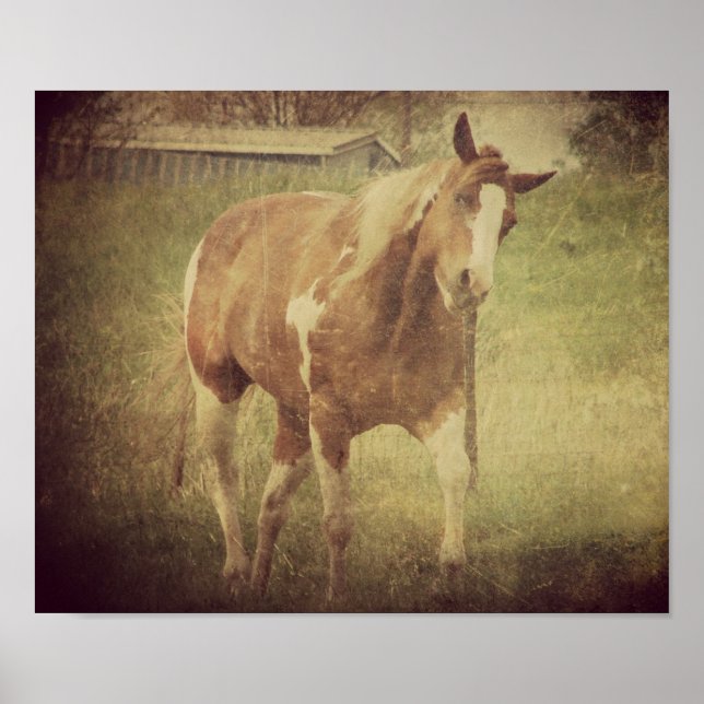 Póster Sacudidas Brillantes Cabeza (Frente)