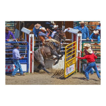 Saddle Bronc saliendo de Rodeo Chute con Cowboy