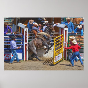 Póster Saddle Bronc saliendo de Rodeo Chute con Cowboy