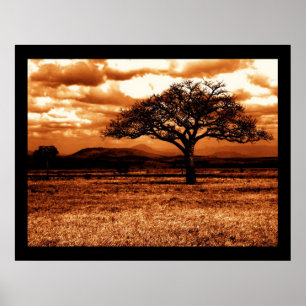Póster Safari de Tanzania