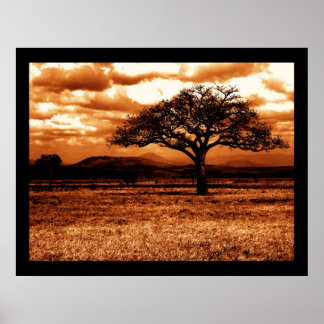 Póster Safari de Tanzania