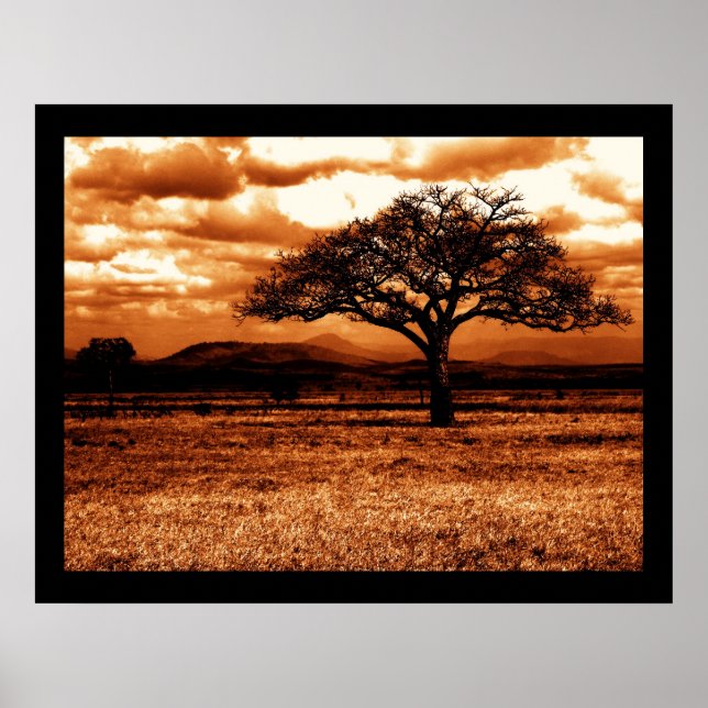 Póster Safari de Tanzania (Frente)