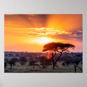 Póster Safari en el Parque Nacional Serengeti