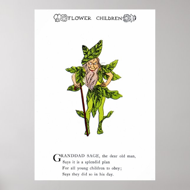 Póster Sage (Frente)