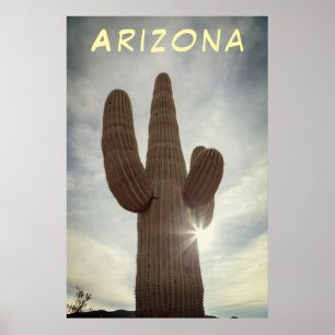 Póster Saguaro