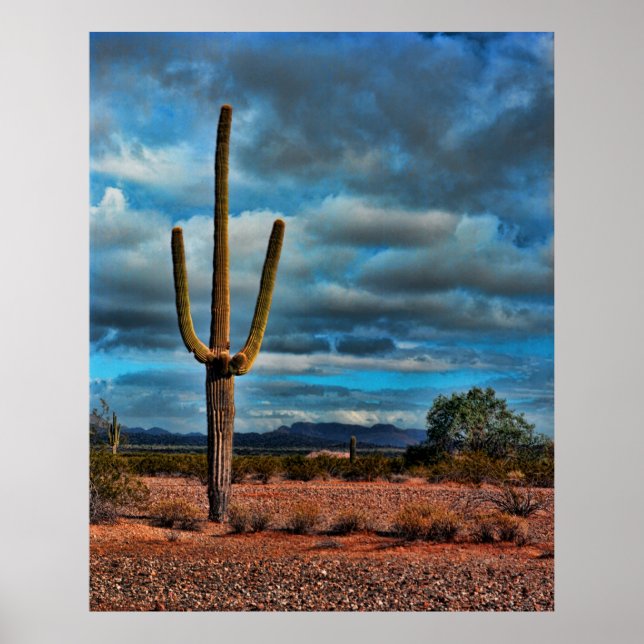 Póster Saguaro (Frente)