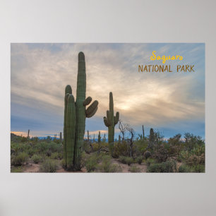 Póster Saguaro al atardecer