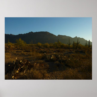 Póster Saguaro Amanecer en el Parque Nacional Saguaro