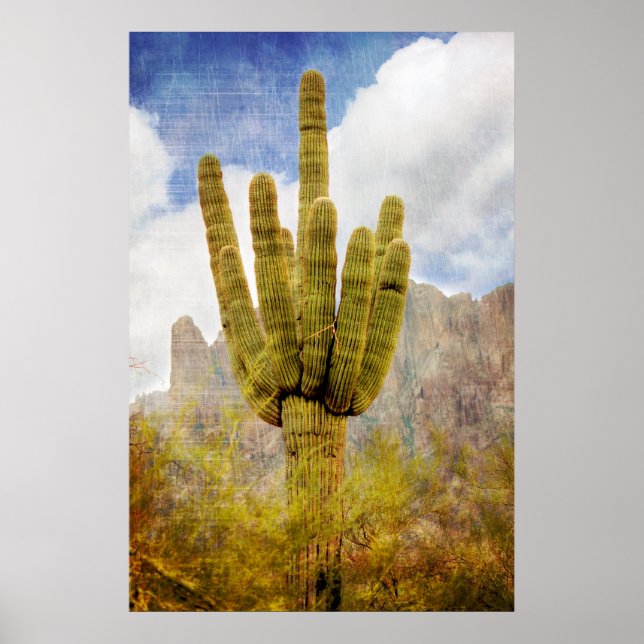 Póster Saguaro Cactus (Frente)
