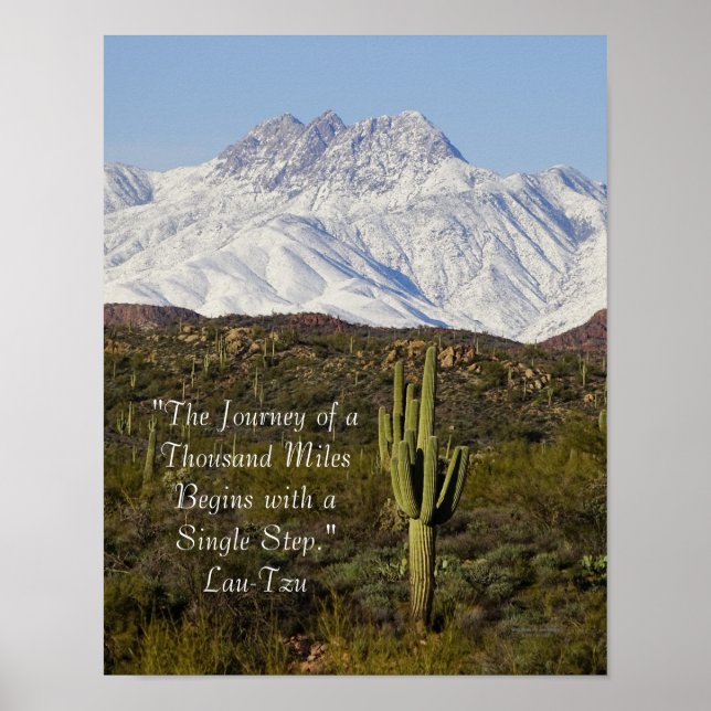 Póster Saguaro Cactus Montañas con capa de nieve Arizona  (Frente)