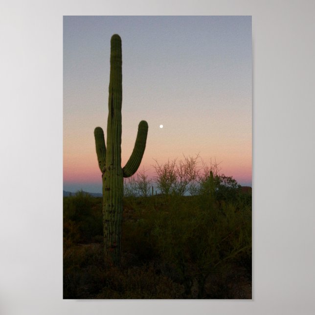 Póster Saguaro Cactus Sunset Arizona Foto (Frente)