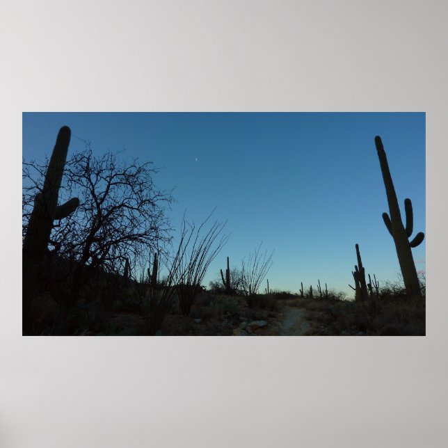 Póster Saguaro por la mañana en el Parque Nacional de Sag (Frente)