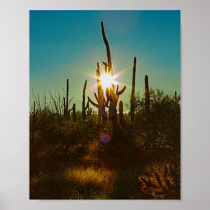 Póster Saguaro Sunstar
