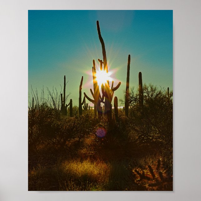 Póster Saguaro Sunstar (Frente)