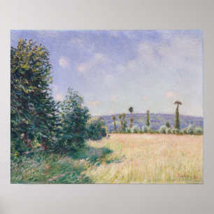 Póster Sahurs Meadows in Morning Sun