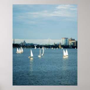 Póster Sailboats in a river, Charles River, Boston, 2