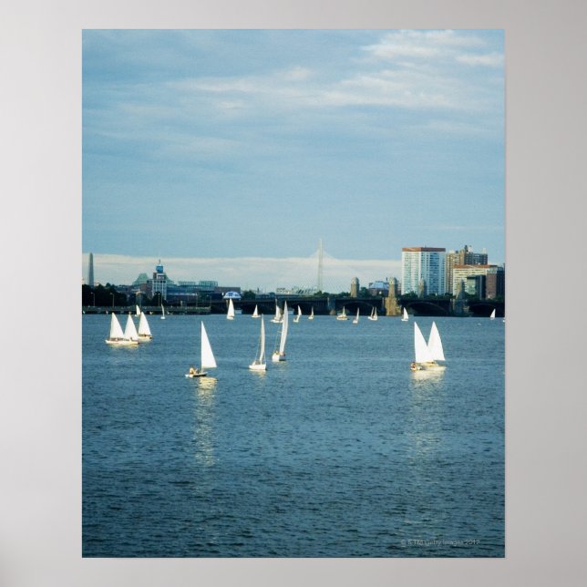 Póster Sailboats in a river, Charles River, Boston, 2 (Frente)