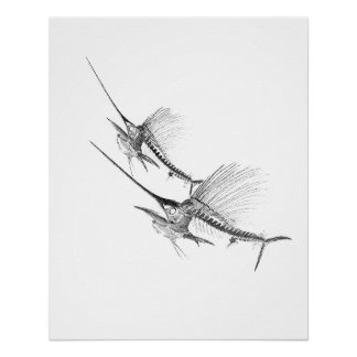 Póster Sailfish Skeleton Fisherman