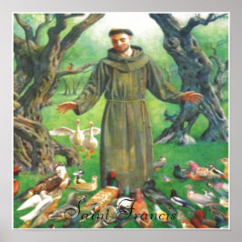 Póster Saint Francis print