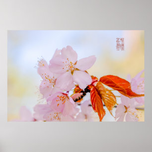 Póster Sakura - Flor japonesa de cerezo