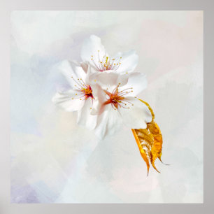 Póster Sakura - Flor japonesa de cerezo
