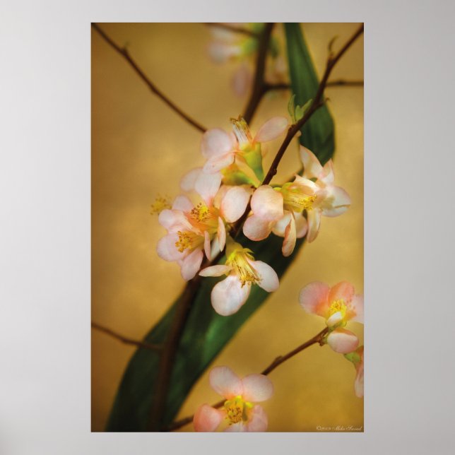 Póster Sakura - Un toque de primavera (Frente)