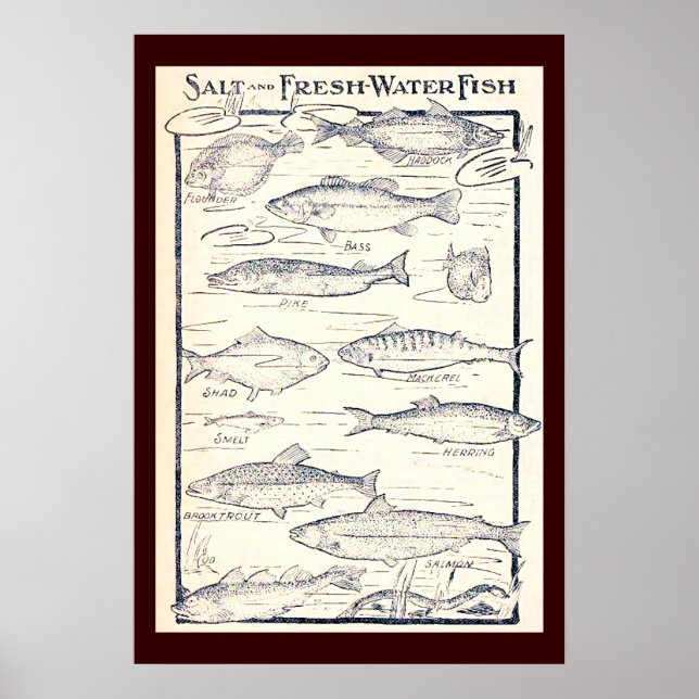 Póster Sal y pescado de agua dulce (Frente)