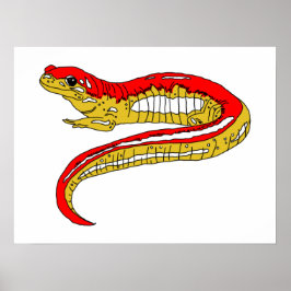 Póster Salamandra roja y amarilla