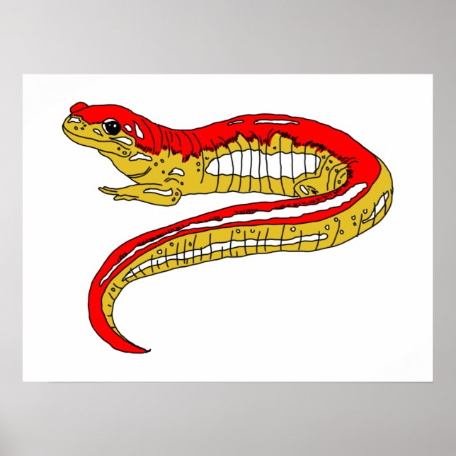 Póster Salamandra roja y amarilla (Frente)