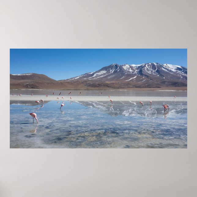 PÓSTER SALAR DE UYUNI SALT FLAT, BOLIVIA (Frente)