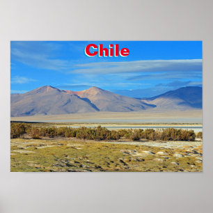 Póster Salar del Huasco, Chile
