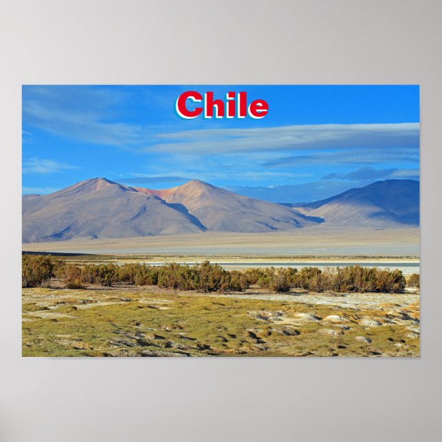 Póster Salar del Huasco, Chile (Frente)