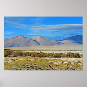 Póster Salar del Huasco, Chile