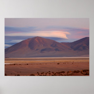 Póster Salar del Huasco, Chile