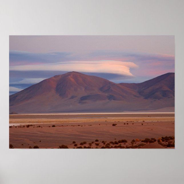 Póster Salar del Huasco, Chile (Frente)