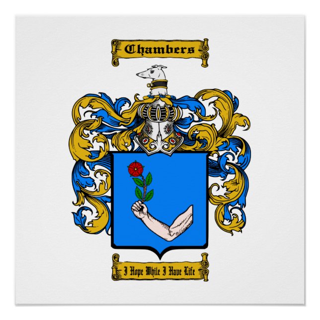 Póster Salas (Irlanda) (Anverso)