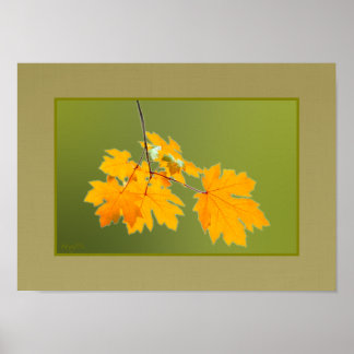 Póster Sale del otoño AH2010