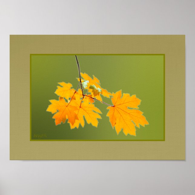 Póster Sale del otoño AH2010 (Frente)