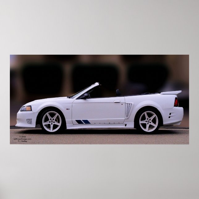 PÓSTER SALEEN MUSTANG POSTER (Frente)