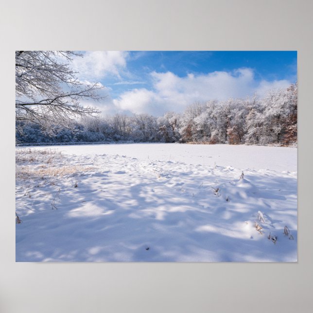Póster Salem Hills Pond y Forest Winscape (Frente)