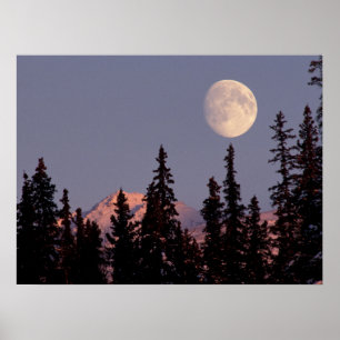 Póster Salida de la luna Principios de invierno Anchora