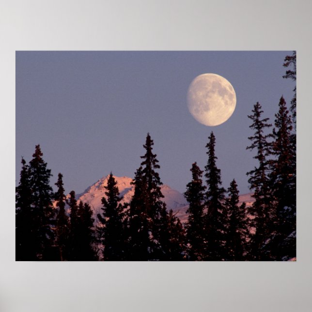 Póster Salida de la luna Principios de invierno | Anchora (Frente)