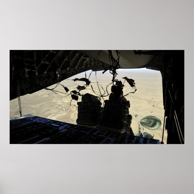 Póster Salida de los paquetes del sistema de entrega de c (Frente)