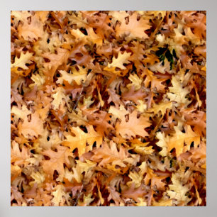 PÓSTER SALIDAS DE AUTUMN