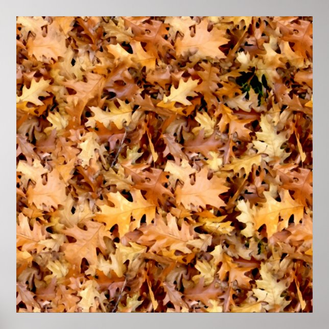 PÓSTER SALIDAS DE AUTUMN (Frente)