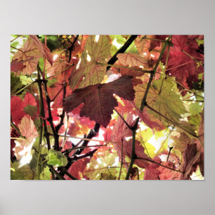 PÓSTER SALIDAS DE AUTUMN