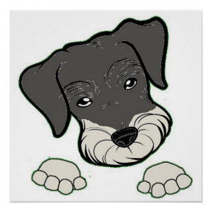 Póster salina de schnauzer en miniatura y pimienta